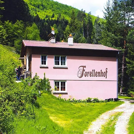 Апартаменты Cosy On Forellenhof, Zorn Valley, *