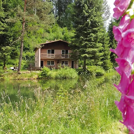 Cosy On Forellenhof, Zorn Valley, * Dabo