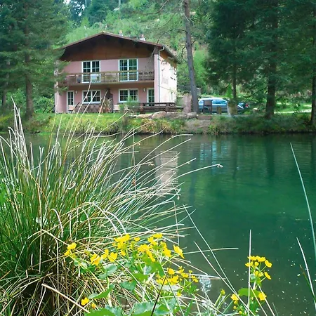 Апартаменты Cosy On Forellenhof, Zorn Valley, *