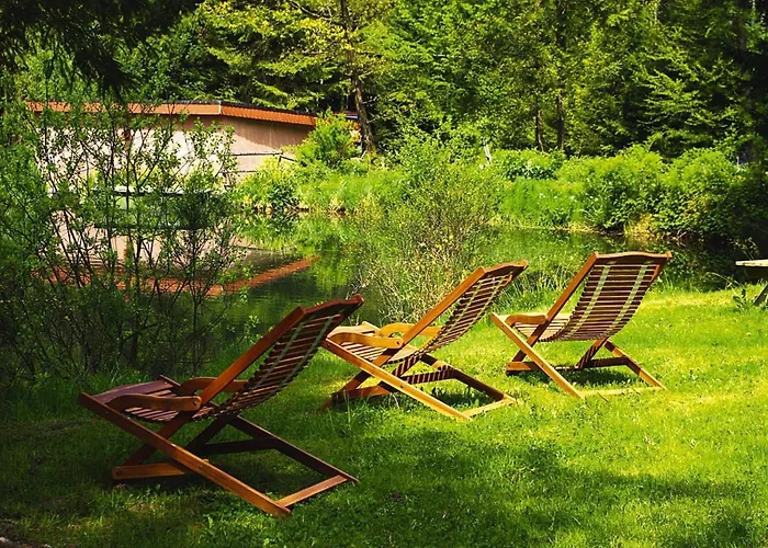 Apartament In Alsace With Nature Retreat Dabo